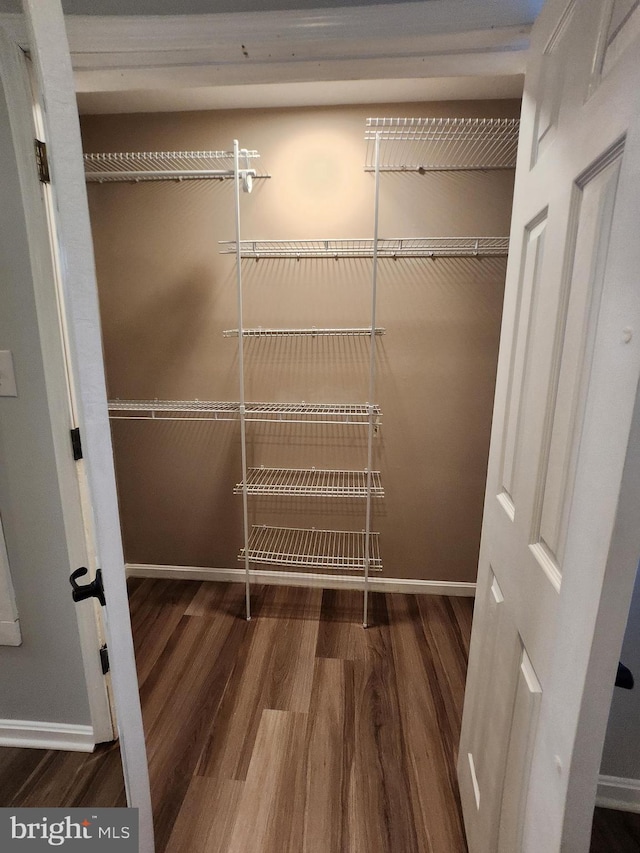 view of closet