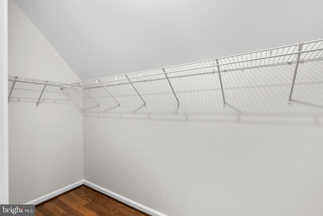 walk in closet with hardwood / wood-style floors