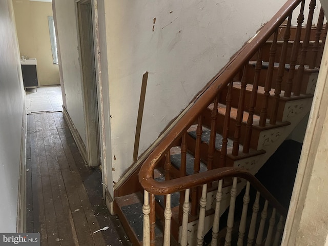 staircase with wood-type flooring