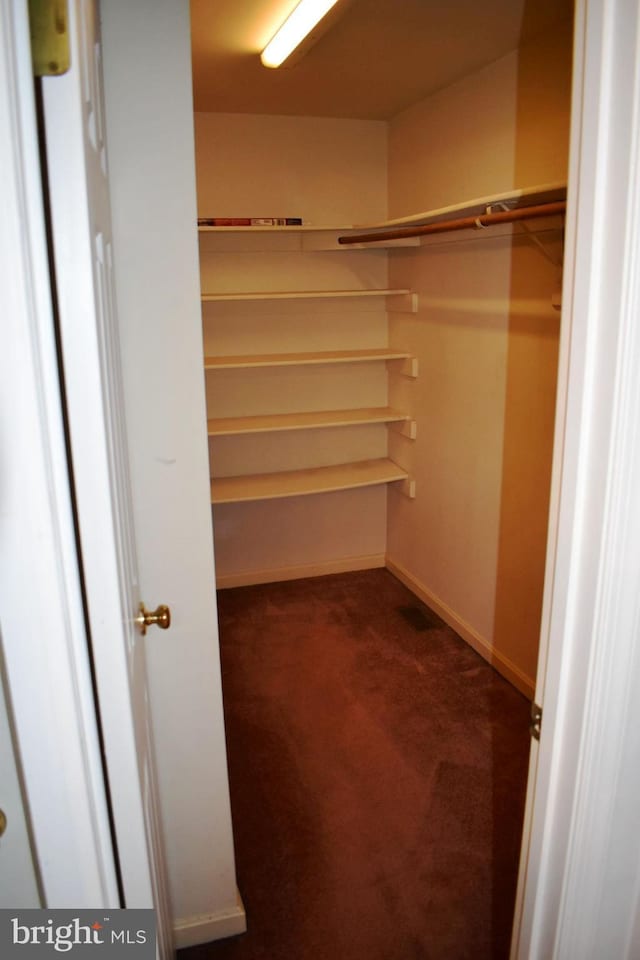 spacious closet with dark colored carpet