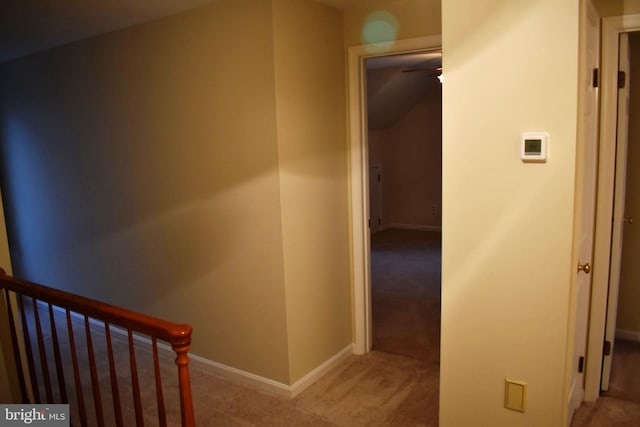 staircase with carpet floors