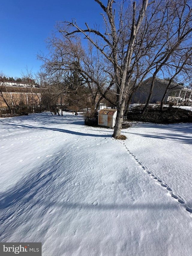 view of snowy yard