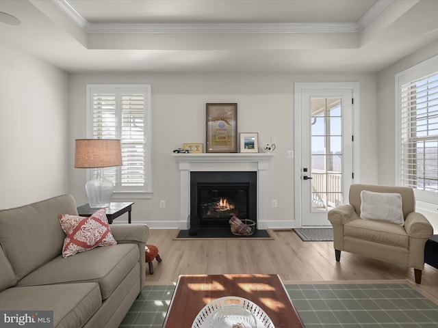 living room with a raised ceiling, ornamental molding, and wood-type flooring