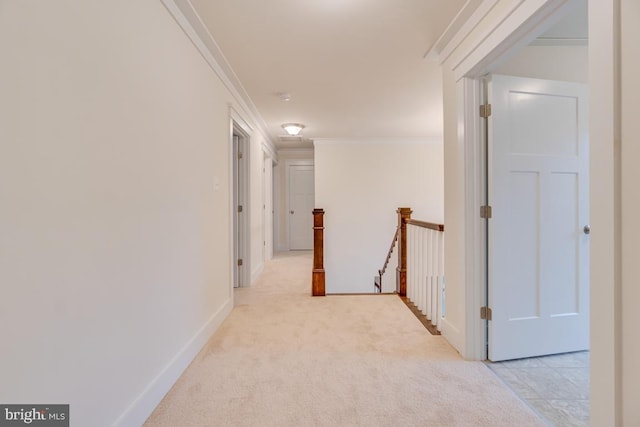 hall featuring ornamental molding and light colored carpet