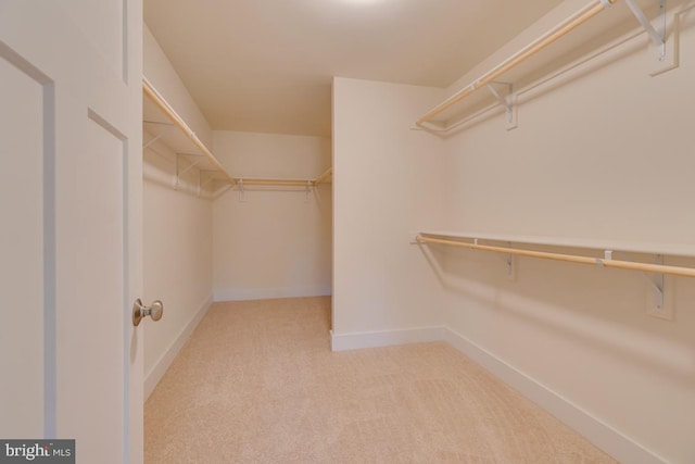 walk in closet featuring light colored carpet