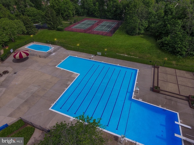 view of swimming pool with a yard, a patio area, and a diving board