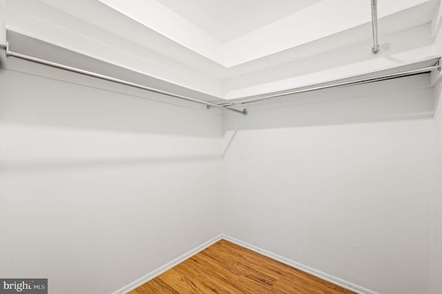 spacious closet with hardwood / wood-style floors