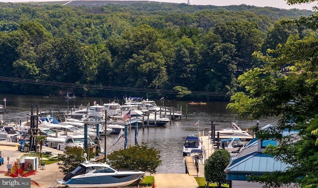 exterior space with a boat dock