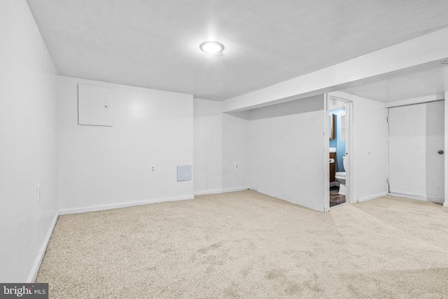 basement featuring light colored carpet