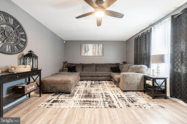 living room with ceiling fan and hardwood / wood-style floors