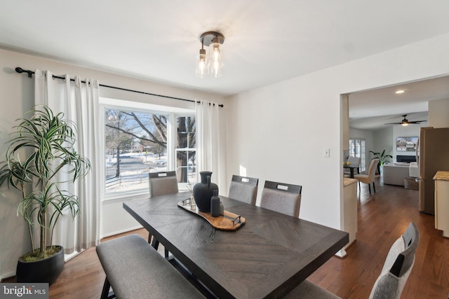 dining space featuring ceiling fan and dark hardwood / wood-style floors