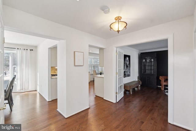 corridor with dark hardwood / wood-style flooring