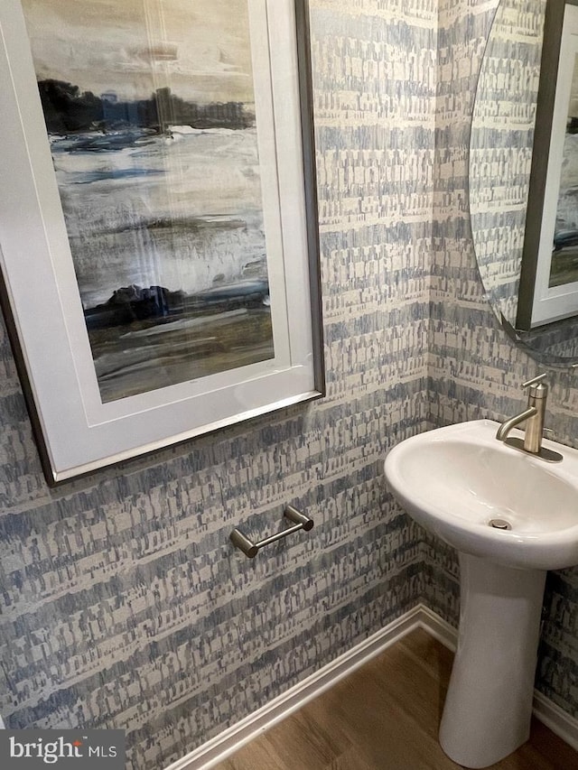 bathroom with wood-type flooring