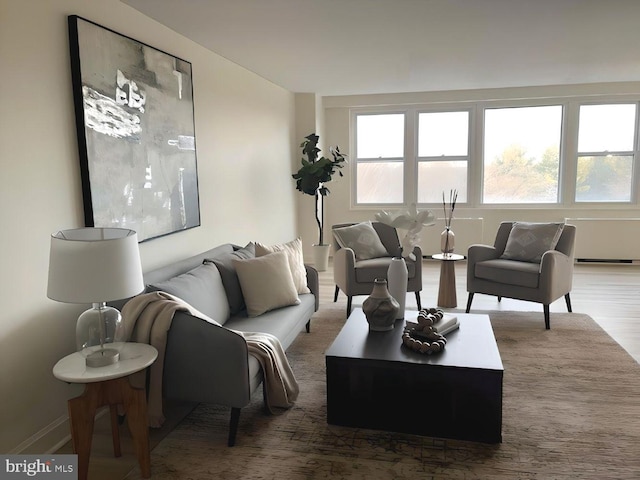 living room featuring wood-type flooring