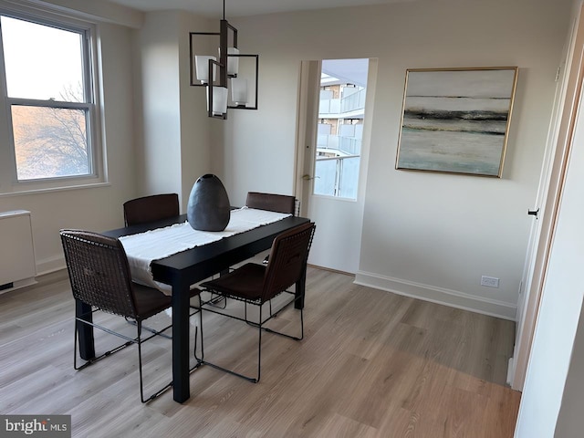 dining area with light hardwood / wood-style flooring