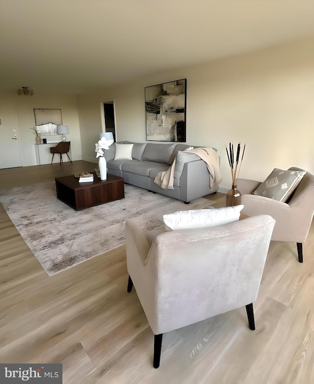 living room with light hardwood / wood-style flooring