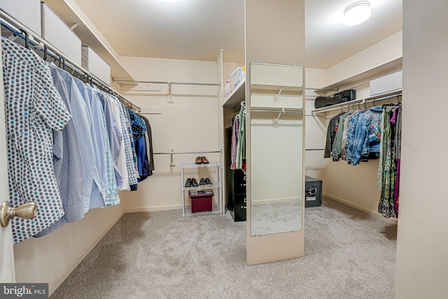 spacious closet with light carpet