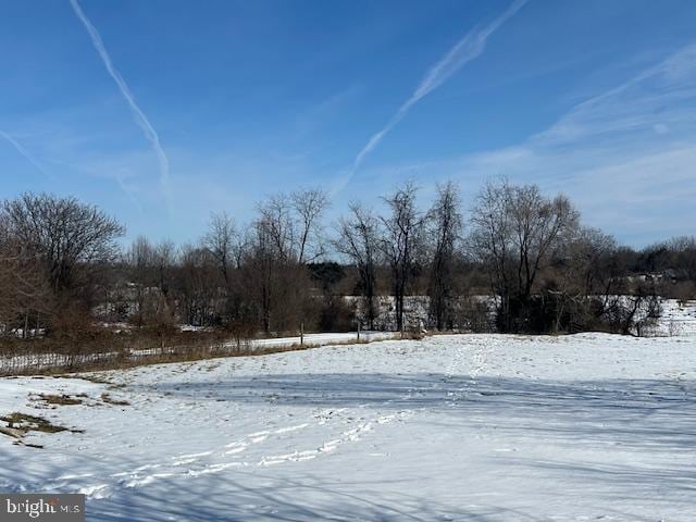 view of yard layered in snow