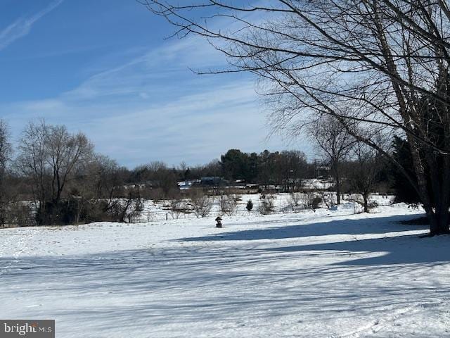 view of yard covered in snow