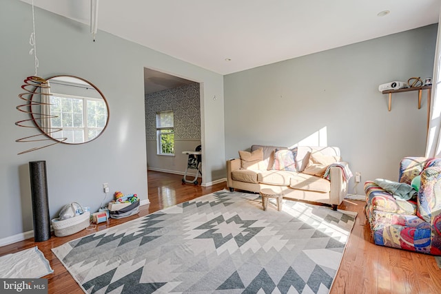 living room featuring hardwood / wood-style floors