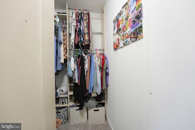 view of spacious closet