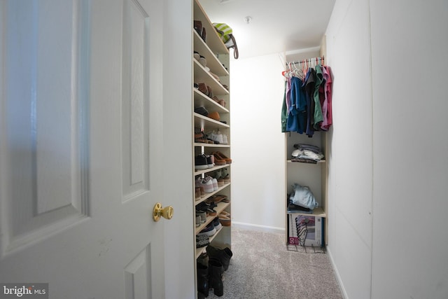 spacious closet featuring carpet floors