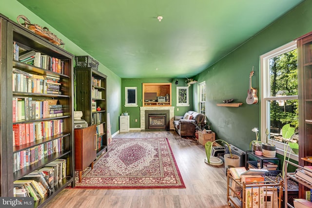 interior space with hardwood / wood-style flooring