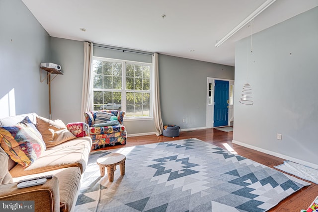 living room featuring wood-type flooring