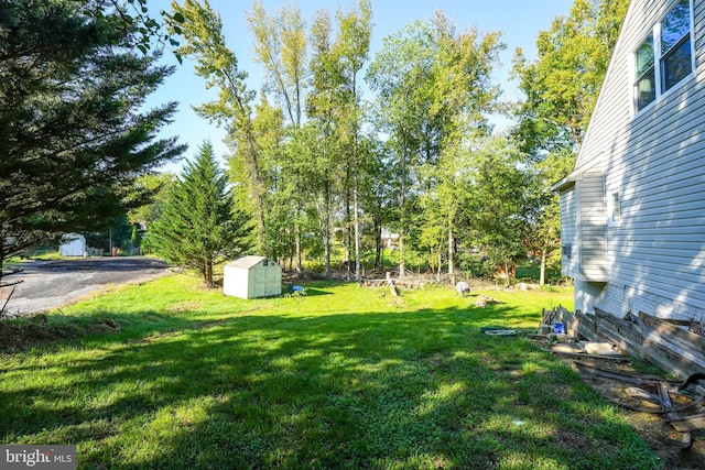 view of yard featuring a shed