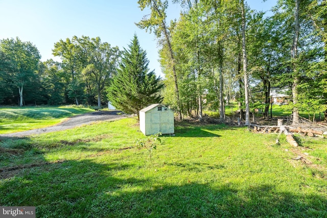 view of yard featuring a storage unit