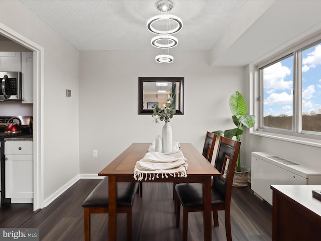 dining space featuring dark wood-type flooring, a wealth of natural light, a textured ceiling, and baseboards