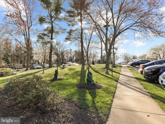 exterior space with a yard