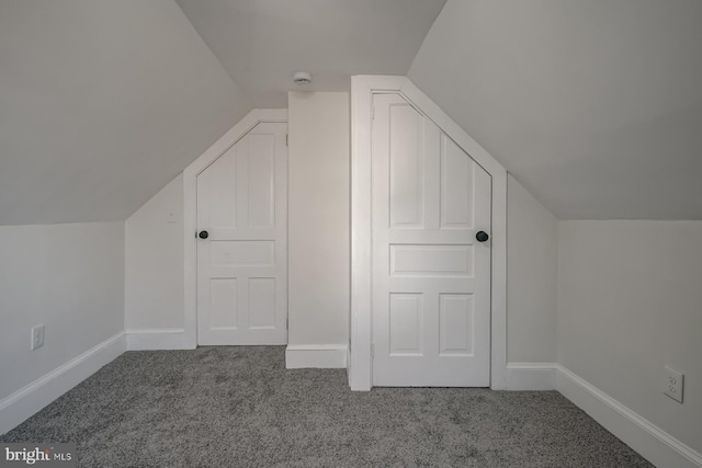 additional living space with carpet and lofted ceiling