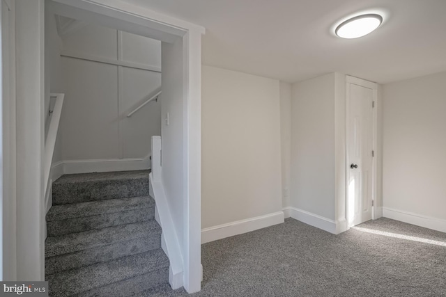 stairway with carpet flooring