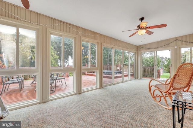 sunroom / solarium featuring ceiling fan