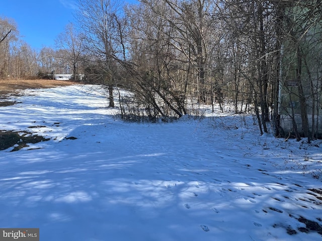 view of yard covered in snow