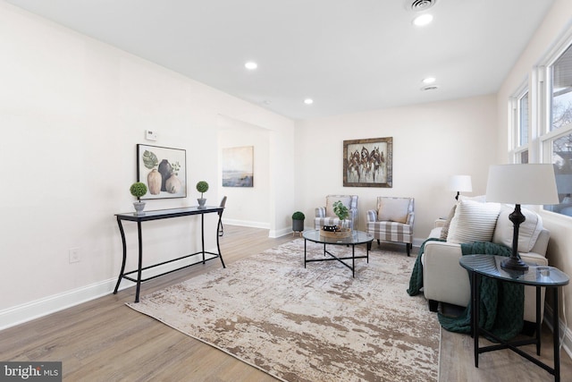 living room with hardwood / wood-style flooring