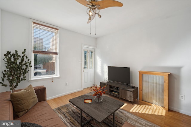 living room with ceiling fan and light wood-type flooring