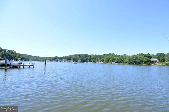 water view featuring a dock