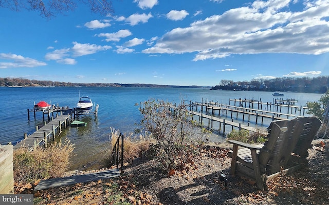 dock area featuring a water view