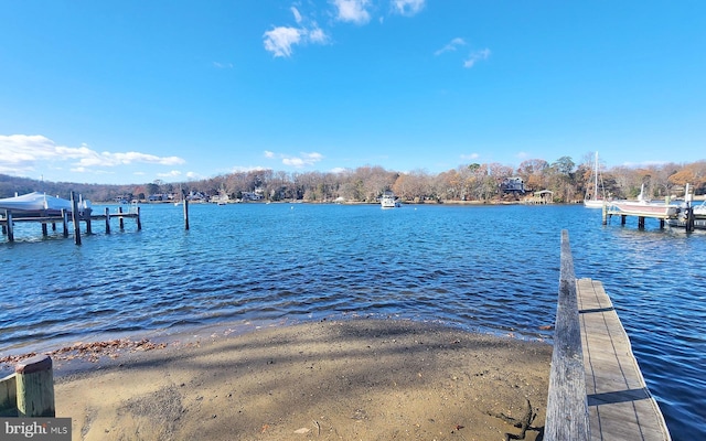 dock area with a water view