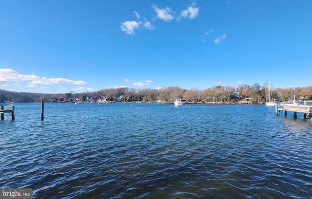 view of water feature with a boat dock