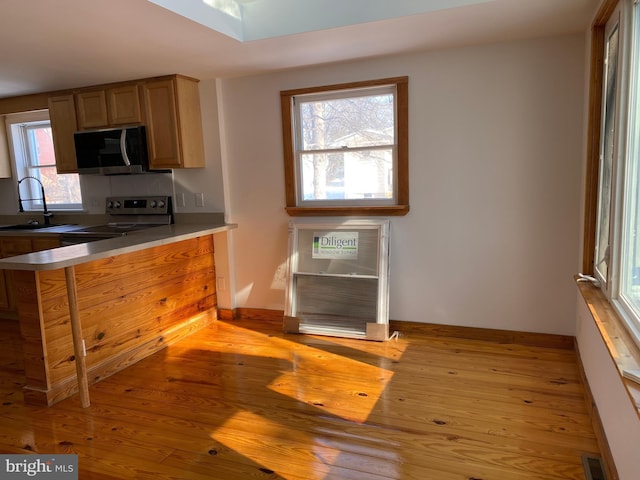 kitchen featuring light hardwood / wood-style floors, sink, stainless steel range with electric stovetop, and a healthy amount of sunlight