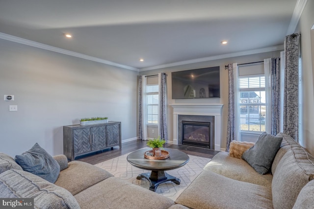 living room featuring crown molding and hardwood / wood-style floors