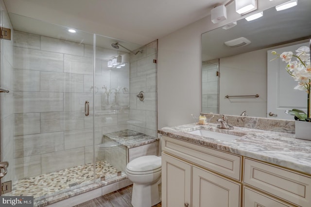 bathroom with a shower with door, vanity, and toilet