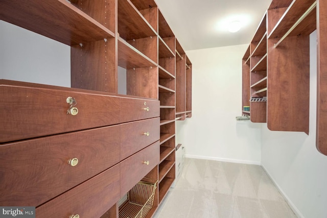 spacious closet featuring light colored carpet