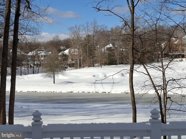 view of yard layered in snow