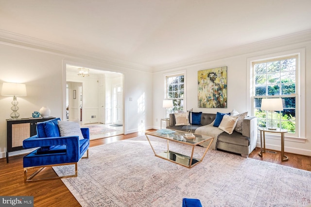 living room featuring hardwood / wood-style floors and crown molding