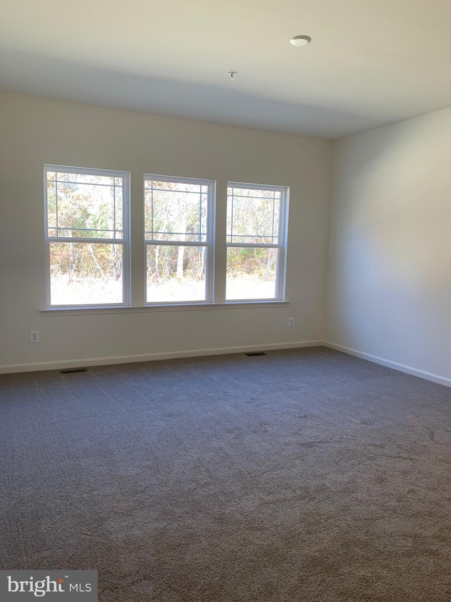 carpeted spare room with a healthy amount of sunlight