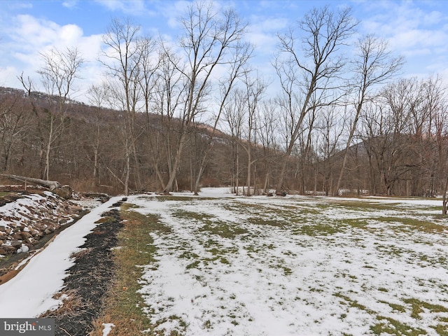 view of yard layered in snow